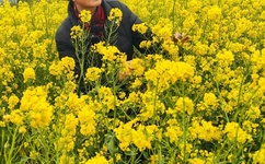 两对巨峰老吴晶晶是哪一集